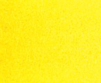 Winsor Yellow Whole Pan