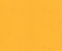 Cadmium Yellow 14ml