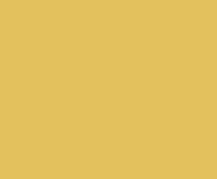 Gold 14ml