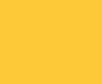 Winsor Yellow 30ml