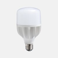 a daylight LED bulb 18w with an ES screw connector. White plastic base with a frosted plastic diffuser over the LEDs